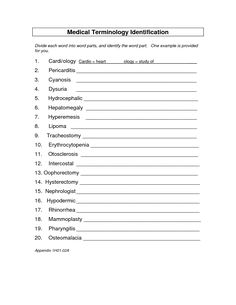 Free medical terminology games quiz